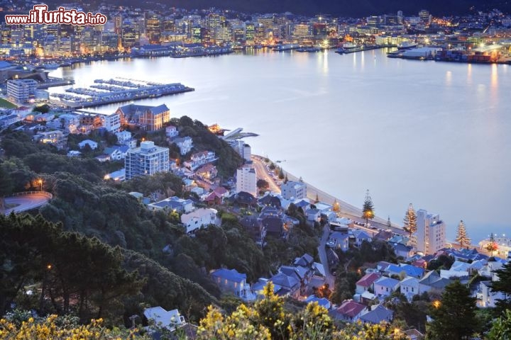 Immagine La Baia di Wellington, Nuova Zelanda, tra i rosa e gli azzurri del tramonto. E' il momento ideale per passeggiare lungo il porto, bere qualcosa sul lungomare e godersi lo spettacolo della città che si riempie di luci tremolanti sull'acqua  - © travellight / Shutterstock.com