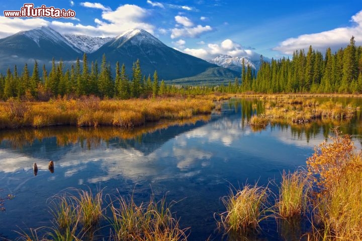 Immagine Un panorama autunnale del Jasper National Park di Alberta, Canada. Laghi, foreste di conifere e le vette imponenti delle Rocky Mountains sono il regno di orsi, caribù e aquile reali - © silky / Shutterstock.com