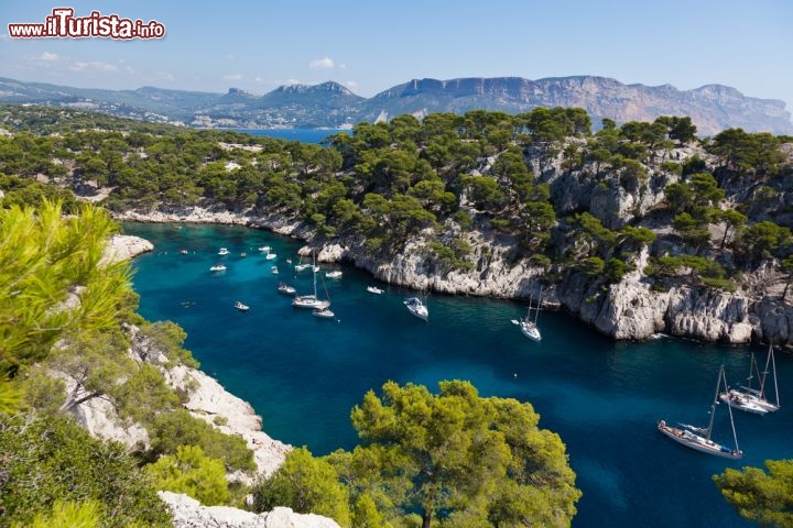 Immagine Fotografia de Les Calanques, nei pressi di Cassis. Dal 2012 questo territorio è protetto come Parco Nazionale. Costa Azzurra, Provenza (Francia) - foto © Samuel Borges Photography / Shutterstock.com