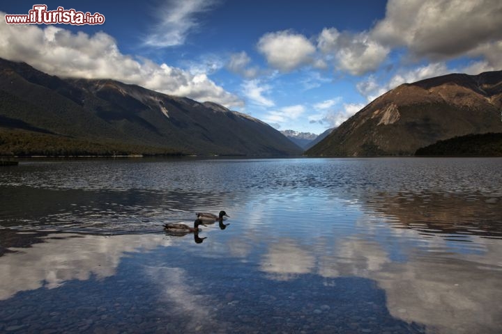 Immagine Fotografia del lago Rotoiti all'interno del Nelson Lakes National Park (Regione di Tasman) in  Nuova Zelanda - © Katarina Hoglova / Shutterstock.com