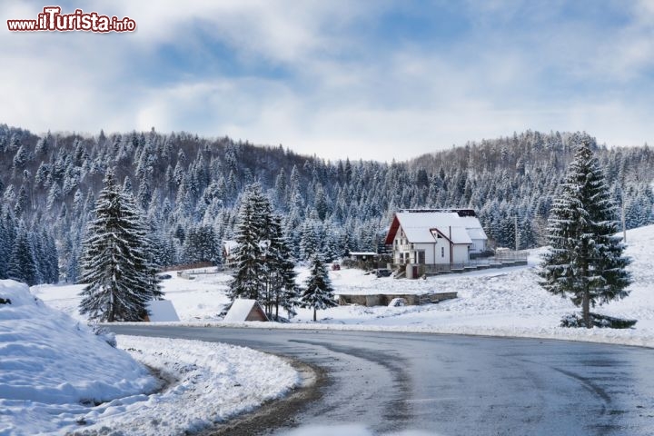 Immagine Paesaggio invernale a Brasov, Romania - Una soffice coltre di neve ricopre i dintorni di Brasov che sorge ad un'altitudine mediamente elevata, attorno ai 600 metri, e in una posizione particolare che la vede al centro della Romania. Da dicembre a febbraio spesso la neve ricopre i tetti delle case e le strade della città oltre che le belle colline circostanti rendendo così il panorama ancora più suggestivo © Gabriela Insuratelu/ Shutterstock.com