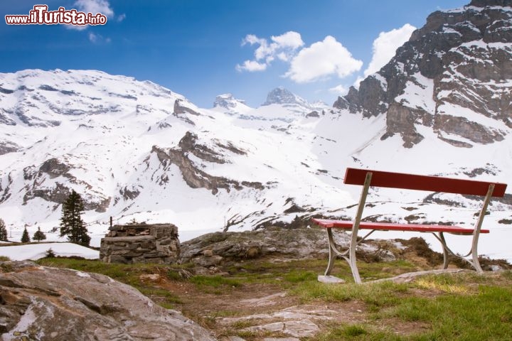 Immagine Foto panoramica sul Titlis, Engelberg - Ammirare il monte Titlis e il paesaggio circostante ricoperto da una soffice coltre di neve. Se poi lo si può fare seduti su una panchina che si affaccia su questo scenario tanto meglio. Sembra quasi una cartolina questa bella immagine dedicata agli amanti della montagna © gevision / Shutterstock.com