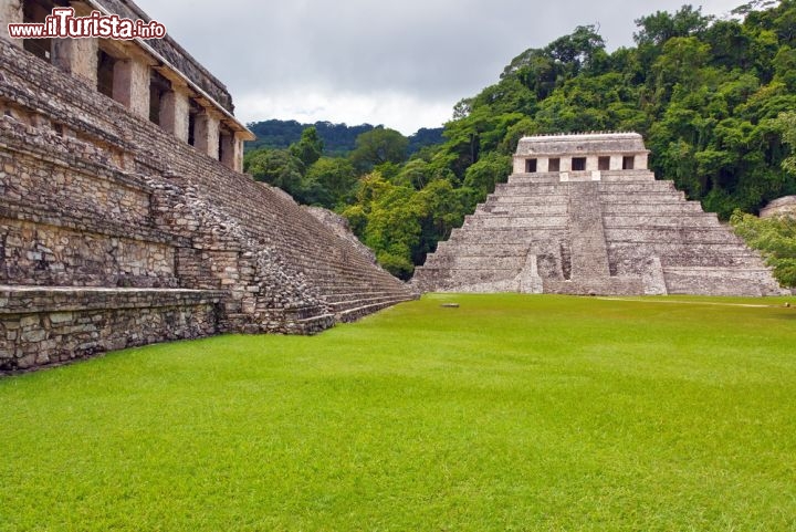 Immagine La piazza centrale del sito Maya di Palenque (Messico), Patrimonio dell'Umanità dell'UNESCO, intorno alla quale si ergono i templi a piramide - © Vadim Petrakov / Shutterstock.com