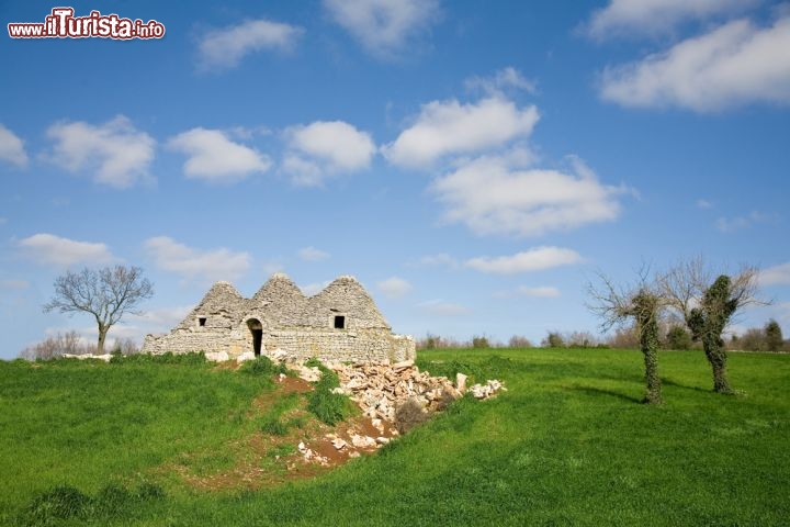 Immagine Fotografie campagne vicino Alberobello Puglia - © NanoStock / Shutterstock.com