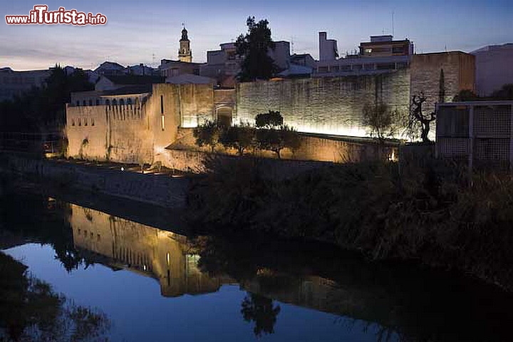 Immagine Gandia, Comunità Valenxiana - Una fotografia notturna della città balneare della Spagna - www.gandia.org