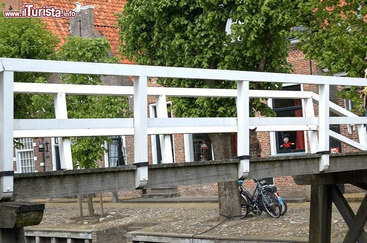 Immagine Gatto sul ponte di Sloten in Olanda