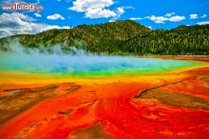 Immagine Una sorgente idrotermale a Yellowstone: sia le hot springs che i Geyser sono spesso circondati da strati colorati di fango ricchi di batteri e minerali vari che li rendono delle specie di mondi alieni in miniatura - © Krzysztof Wiktor / Shutterstock.com