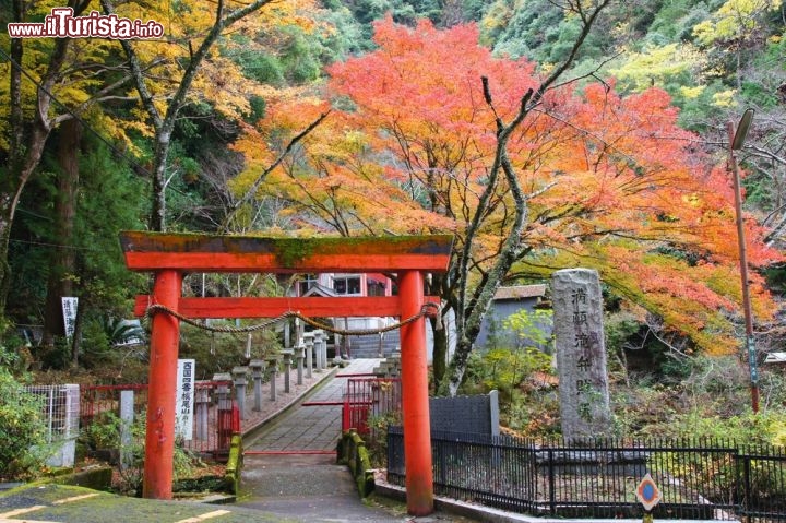 Immagine I Giardini di Osaka (Giappone) con i colori accesi dell'autunno - © kazu / Shutterstock.com