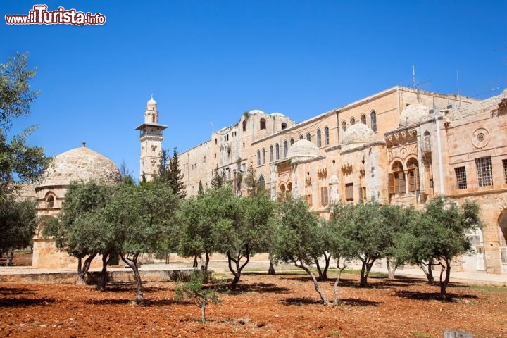 Immagine Il Giardino del Getsemani di Gerusalemme, poco fuori dalle mura della Città Vecchia, ai piedi del Monte degli Ulivi. Qui Gesù si ritirò dopo l'Ultima Cena, prima di essere tradito da Giuda e catturato. Nei secoli il luogo ha accolto innumerevoli pellegrini e ha ispirato l'arte di pittori e scrittori di ogni epoca - © Aleksandar Todorovic / Shutterstock.com