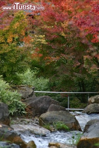 Immagine Giardino Giapponese in autunno a Merano, Giardini  di Sissi - cortesia foto www.trauttmansdorff.it