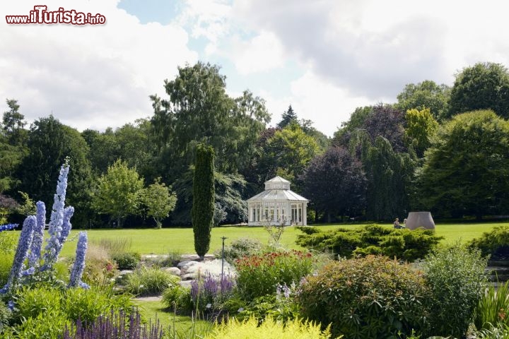 Immagine il Giardino botanico di Goteborg, in Svezia - Credits: Nicho Södling/imagebank.sweden.se