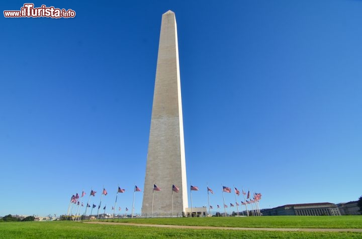 Immagine Giornata serena al Washington Monument, che si trova nella Capitale americana del District of Columbia - © Orhan Cam / Shutterstock.com