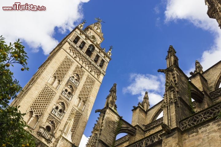 Immagine La Giralda è il grandioso ex minareto di Siviglia (Andalusia) che venne trasformato in campanile della Cattedrale con il ritorno dei cristiani. Al momento della sua costruzione, con la sua altezza di poco superione ai 104 metri, deteneva il record di torre più alta del mondo. Dal 1987 è divenuta Patrimono mondiale dell'umanità dell'UNESCO - © AdrianNunez / Shutterstock.com
