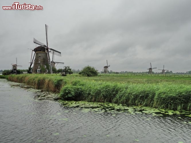 Immagine Gli antichi mulini di Kinderdijk, Olanda.