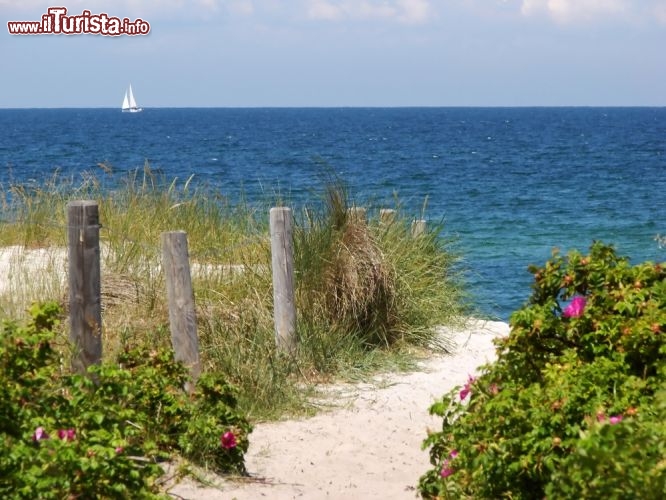Immagine Graal Muritz: accesso ad una spiaggia edella località sul mar Baltico in Germania - © Mardre / Shutterstock.com