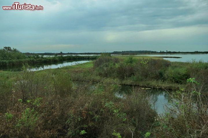 Immagine La Valle Cavanata ospita una importante riserva naturale