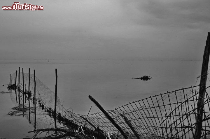 Immagine In autunno la laguna di Grado assume un fascino particolare: la Valle Cavenata