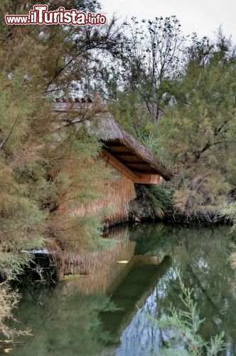 Immagine Riserva naturale Valle Cavanata