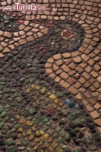 Immagine Il pavimento a mosaico della Basilica S. Eufemia a Grado