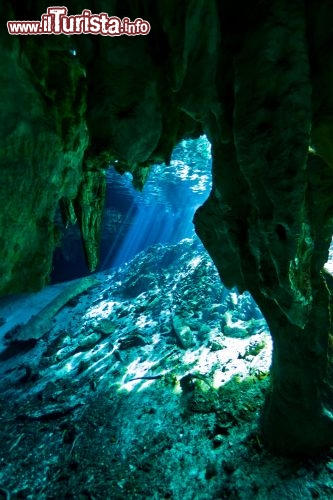 Immagine Il Gran Cenote di Tulum: questa cavita carsica colma d'acqua dolce si trova nel Quintana Roo lo stato del Messico che comprende il lato est della Penisola dello Yucatan - © Joanne Weston / Shutterstock.com