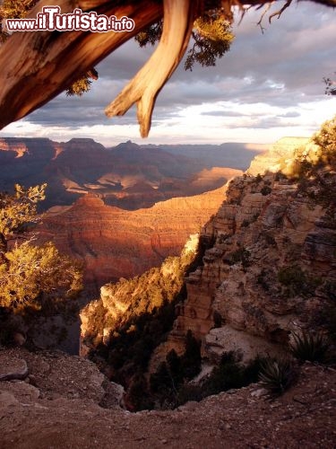 Immagine Grand Canyon Colorado al tramonto, Arizona - Foto di Giulio Badini / Adenium Soluzioni di viaggio