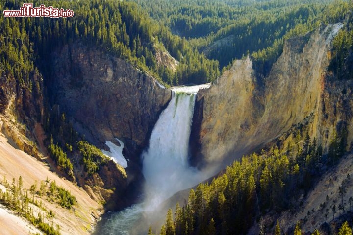 Immagine Il Grand Canyon dello Yellowstone termina con il grande salto delle Lower Falls, le cascate alte 94 metri e dotate di una portata incredibile - © ELegeyda / Shutterstock.com