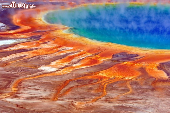 Immagine I colori incredibili della sorgente Grand Prismatic Spring: questo lago del Midway Geyser Basin si trova nello Yellowstone National Park. L'intensa colorazione di questi fanghi è dovuta alla presenza di colonie di batteri che prosperano nelle acque calde e ricche di sostanze nutrienti - © EastVillage Images / Shutterstock.com