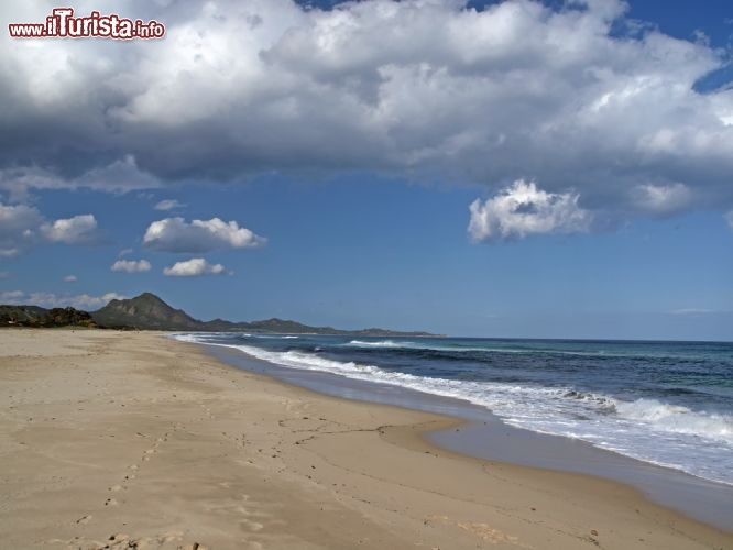 Immagine Una grande spiaggia in Costa Rei, il litorale della Sardegna sud orientale  - © Shutterschock / Shutterstock.com