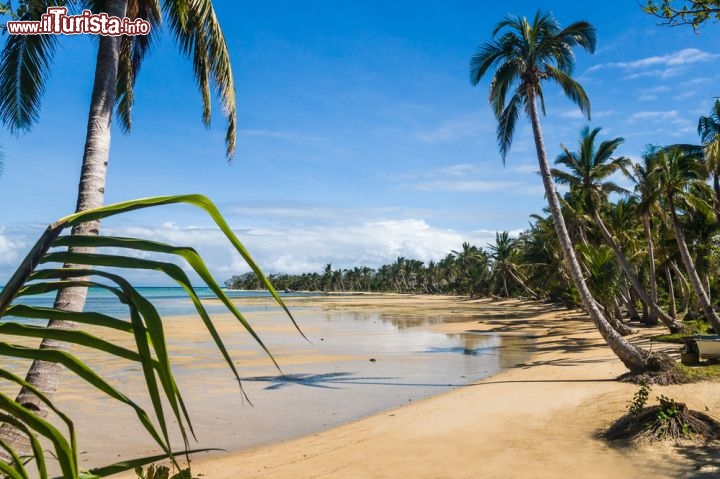 Immagine Una grande spiaggia a Île Sainte-Marie (Nosy Sainte Boraha): ci troviamo al largo della costa nord-orientale del Madagascar - © Pierre-Yves Babelon / Shutterstock.com