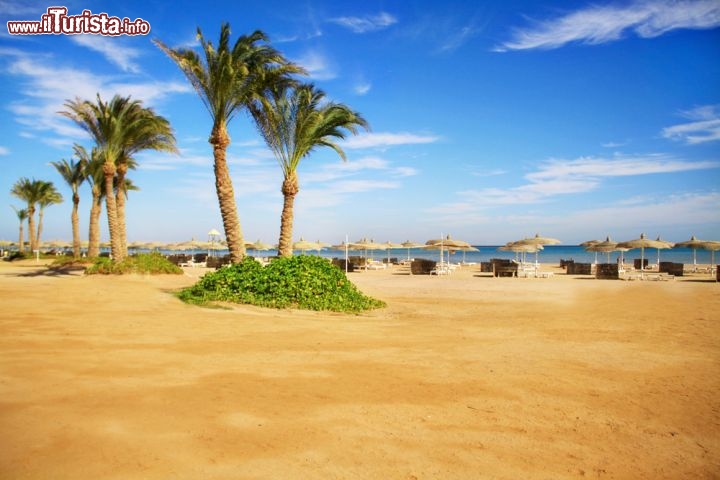 Immagine Grande spiaggia sabbiosalungo la costa settentrionale del Mar Rosso a Sharm el Sheikh, in Egitto - © Lyubov Timofeyeva / Shutterstock.com