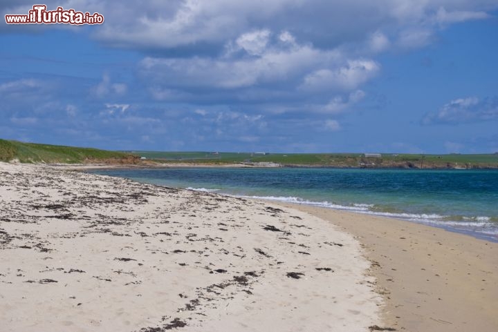 Immagine Una grande spiaggia sulle Isole Orcadi a nord della Scozia. I paesaggi del mare del Nord accolgono numerose specie marine e di uccelli, tanto che le Orcadi sono molto aprezzate per il birdwatching