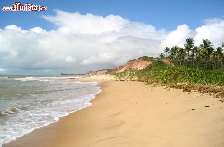 Immagine Grande spiaggia vicino a Recife, Stato di Pernambuco (Brasile), lungo l'Atlantico centro occidentale - © Giancarlo Liguori / Shutterstock.com