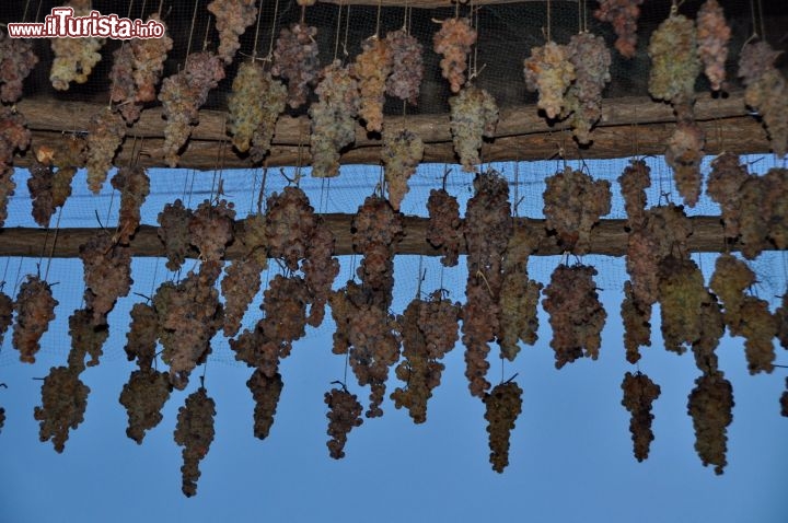 Immagine Grappoli uva Soave appesi alla volta di  Porta Aquila, che si apre nelle mura nord del Borgo