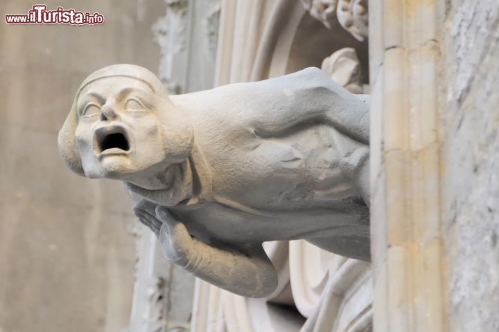 Immagine Una grondaia (doccione) di un edificio del centro storico di Carcassonne in Francia - © Alexander Studentschnig / Shutterstock.com