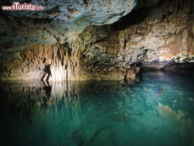Immagine Grotta marina a Bonaire - © Isabelle Kuehn / Shutterstock.com