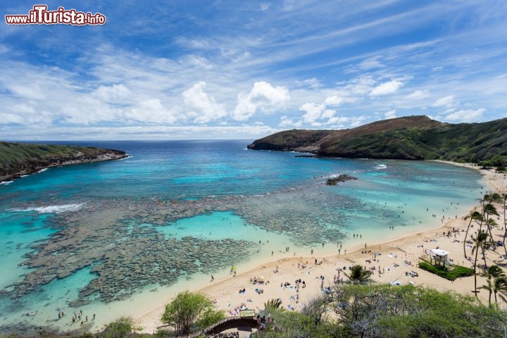 Immagine Hanauma bay isole Hawaii. E' considerata uno dei paradisi dello snorkeling a Oahu. La stretta imboccatura assicura protezione dalle correnti oceaniche, e mantiene al largo i gradi predatori come squali tigre e martello  - © LittleStocker / Shutterstock.com