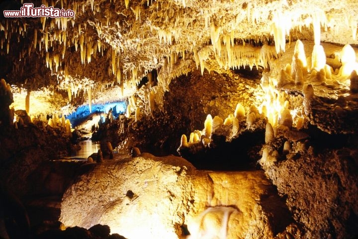 Immagine L'Harrisons Cave è un sistema carsico nel cuore Barbados, nei pressi della Flower Forest - Fonte: Barbados Tourism Authority