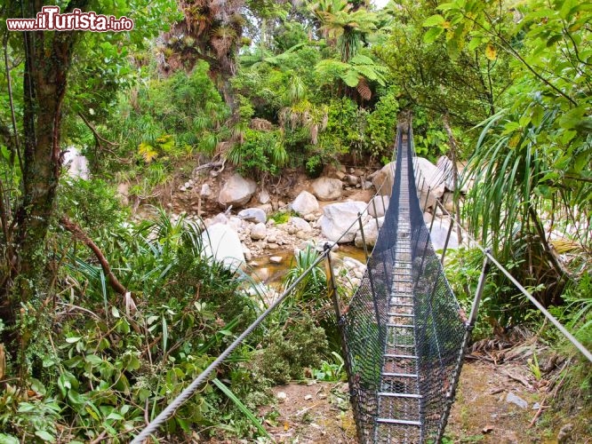 Immagine Heaphy Track: un ponte sospeso sul famoso sentiero del Kahurangi National Park in Nuova Zelanda - © CreativeNature.nl / Shutterstock.com