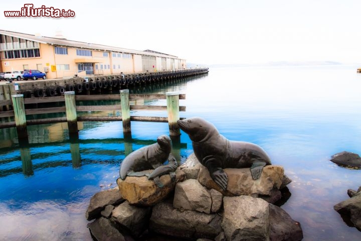 Immagine Hobart il monumento particolare si trova nel porto della capitale della Tasmania - © Curioso / Shutterstock.com