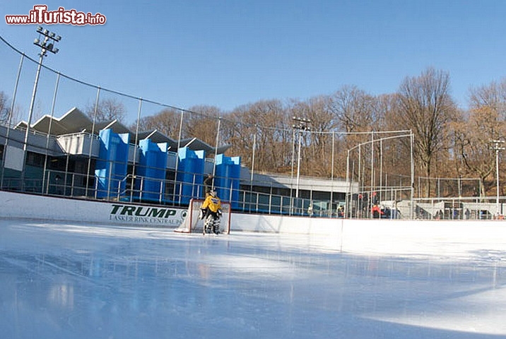 Immagine Trump Ice Rink a New York CIty, Stati Uniti. In attesa della partita di hockey sul ghiaccio al Trump Ice Rink di Central Park