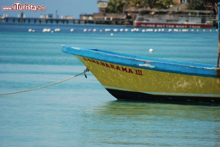 Immagine West Bay a Roatan, Honduras - E' la maggiore delle Islas de la Bahia: al largo delle coste dell'Honduras, Roatan è parzialmente circondata dalla barriera corallina. Deve la sua fama al fatto di essere stata, in passato, il covo di alcuni famosi pirati. Oggi questa suggestiva località del Mar dei Caraibi è conosciuta per le sue celebri spiagge con cale e calette come quella di West Bay immortalata in questa immagine con le sue acque cristalline © Daniele Sironi