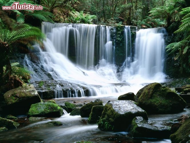 Immagine Horseshoe falls le belle cascate del Mt. Field National Park in Tasmania - © Leksele / Shutterstock.com