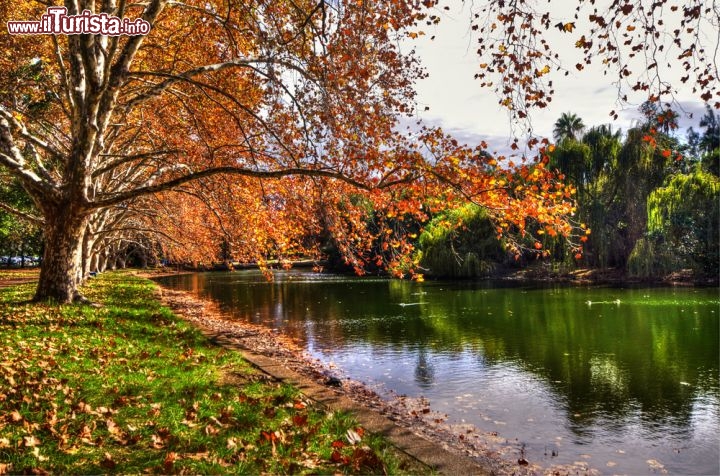 Immagine Hyde Park a Perth, Australia, in autunno. Questo spazio verde si trova all'angolo nord est del sobborgo di Perth, 2 km a nord del quartiere centrale degli affari. 108611351