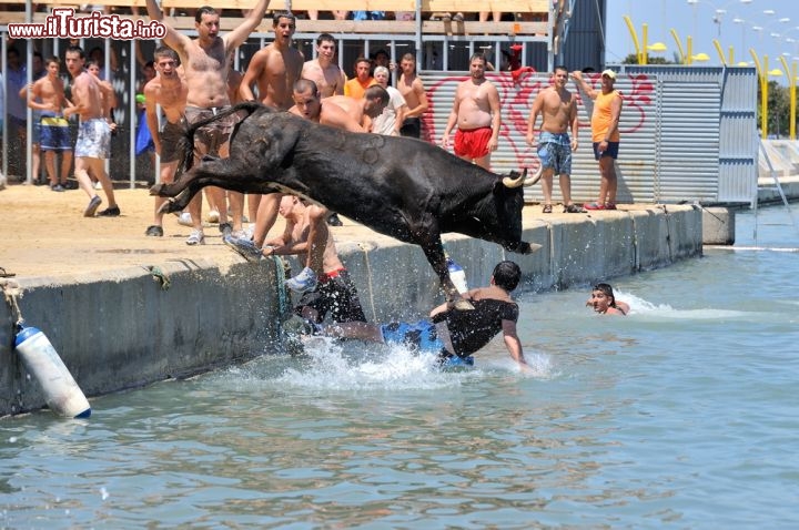 Immagine I Tori nel mare di Denia: la manifestazione dei Bous a la Mar, che si svolge a luglio è una delle "fiesta major" della Spagna, e richiama tantissimi turisti nella Costa Blanca, vicino ad Alicante - © Mircea BEZERGHEANU / Shutterstock.com