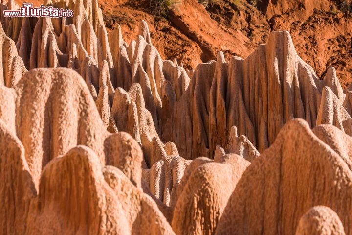 Immagine I Tsingy Rossi (Tsingy Rouges) di Antsiranana nel Madagascar. Le piogge discontinue ma violente creano queste particolari forme d'erosione nelle rocce chiamate lateriti- © Pierre-Yves Babelon / Shutterstock.com