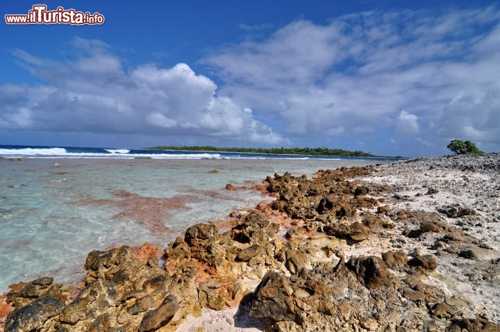 Immagine I colori del Pass sud di Fakarava, Isole uamotu