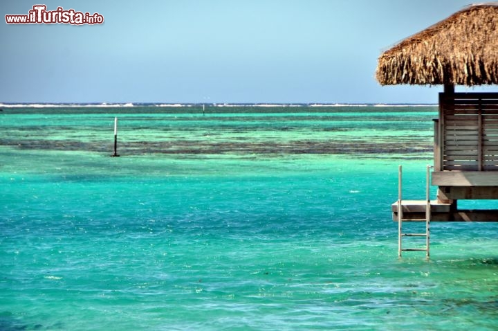 Immagine I colori della Laguna a nord della costa di Moorea in Polinesia