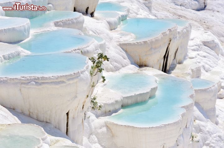 Immagine I colori pastello delle acque di Pamukkale, le vasche si trovano sopra le celebri cascate di travertino della Turchia - © Serghei Starus / Shutterstock.com