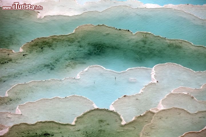 Immagine I colori di Pamukkale, le magiche sorgenti termali della Turchia - © wjarek / Shutterstock.com