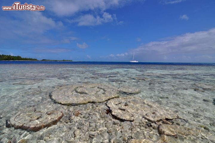 Immagine I coralli di Fakarava e il Pass di Tumakohua